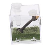 Transparent Spider Habitat Box Acrylic Insect Breeding Container for Jumping Spiders Durable Lightweight Easy to Feed Compact Design for Reptile Enthusiasts
