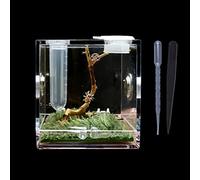Transparent Spiders Breeding Box Full View Top Feeding Ventilation Small Reptiles Acrylic Habitat Cage Anti-Escape Breeding Feeding Box