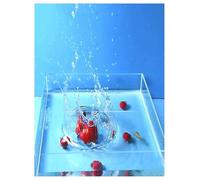 Transparent Storage Box Acrylic Shallow Sink Shatterproof Water Tank for Photography & Fish Habitat | Dual-Use Shooting Prop & Acrylic Fish Tank(60x55x5cm/23.6x21.6x1.96in)