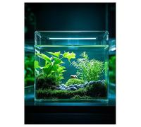 Transparent Storage Box Acrylic Shallow Sink - Shatterproof Water Tank for Photography & Fish Habitat | Dual-Use Shooting Prop & Acrylic Fish Tank Display(40x20x20cm)