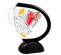 Transparent Uterus Model, Human Vagina Anatomical Model Female Reproductive Organ Model, Medical Teaching Models for Examination and Reproductive Display,Black