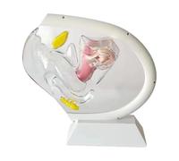 Transparent Uterus Model, Human Vagina Anatomical Model Female Reproductive Organ Model, Medical Teaching Models for Examination and Reproductive Display,White