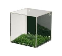 Transparent, Versatile, Dustproof Display Case for Golf Balls - The Stand for Keepsakes