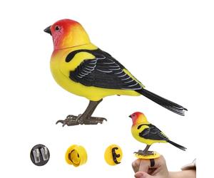 Transparent Waterproof Adhesive - Invisible Leak Proof Coating, Multi- Repair Sealant for Ceilings, Walls, Kitchen, Bathroom, Deck, Driveway, Garden, | Liquid An