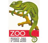 Transport for London - Zoo, Chameleon Blank Greeting Card with Envelope