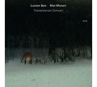 Transylvanian Concert by Lucian Ban (2013-05-28)