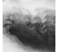 Trap 10 - Westend Chronicles I [VINYL]