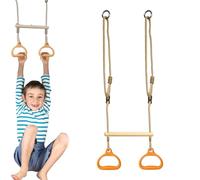 Trapeze Swing Bar | Swing Rings Playground Equipment,Sensory Rings Ergonomic Game for Children Outdoor Kids Adults Backyard Playtime Indoor