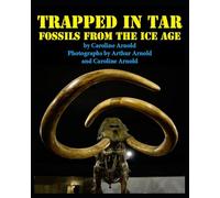Trapped in Tar: Fossils from the Ice Age
