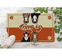 Traqunn Come in Go Away Cat Personalized Doormat,Cat Rug,Funny Welcome Mat,Cat Lover Gift,Housewarming Gift,Pet Doormat,Cat Floor Mats 36X24 In
