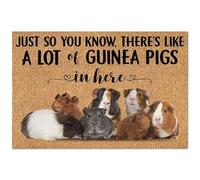 Traqunn Doormat Like A LOT of Guinea Pig Doormat,Guinea Pig Lovers Home Doormat 36X24 In