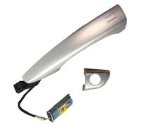 TRASH BIN Side Door Handle for Peugeot 508 408 308S 4008 5008 for Citroen C5 C6 Car Side Loading Door Handle Exterior Repair Main Silver(Set)