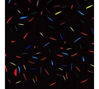 Trash Kit - Horizon (Clear Vinyl) [VINYL]