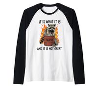 Trash Panda Dumpster Fire Raccoon Retro Cartoon Graphic Raglan Baseball Tee