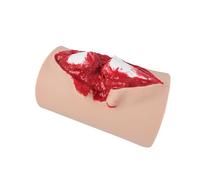 Trauma Model, Open Tibial Fracture Training Model, Open Fracture Wound Packing Trainer, Wound Dressing Training Model, Wearable, Reusable Wound Training Model, for Medical Classes