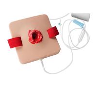 Trauma Model, Simulates Wound Packing and Tourniquet Trainer, Trauma Simulation Wound Practice Model, Bleed Control Suturing Exercises, Provide Realistic First Aid Exercises(A)