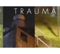 Trauma Steam CD Key