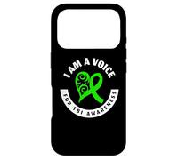 Traumatic Brain Injury Green Band Language Support Case for iPhone 17 Pro