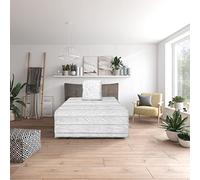 Traumnacht Green Basis bedding set consisting of an all-year duvet 135 x 200 cm and pillow 80 x 80 cm, Öko-Tex certified, produced according to German quality standards