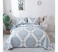 Travan 3-Piece Quilt Set Quilted Bedspread Lightweight Coverlet Set Floral Printed Oversized Quilted Bedding Set with Shams for All Season, Blue Floral, Queen Size