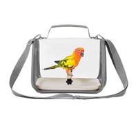 Travel Bird Transport Cage, Travel Bird Cage for Conure, With Tremoriferated Seats Cockatiel Travel Pack, Travel Cago for Careers for Breathable Pets Between