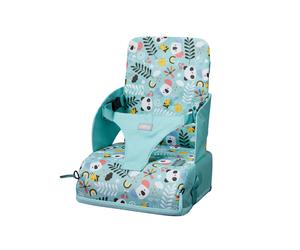Travel Booster Seat Aqua Panda - Nuby