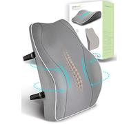 Travel Ease Ergonomic Lumbar Support Cushion, Memory Foam Back Support Cushion for Office Chairs with Skin-friendly Cover for Comfort (Grey)
