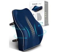 Travel Ease Ergonomic Lumbar Support Cushion, Memory Foam Back Support Cushion for Office Chairs with Skin-friendly Cover for Comfort (DarkBlue)