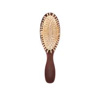 Travel Hairbrush