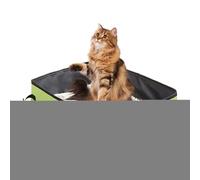 Travel Litter Box, Foldable Waterproof Cat Litter Tray, Leak-proof Compact Cat Litter Tray for Kittens, Travel, in the Car, Easy Car Trips, Hotel Stays, Camping, Road Trip