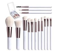 Travel Makeup Brush Set - Foundation and Powder Blending Brush All-in-1 Brush | 14 Piece Small Portable Makeup Brush Set with Rechargeable LED and Storage Box Makeup Brush