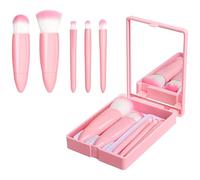 Travel Makeup Brush Set, Portable 5 PCS Mini Makeup Brushes with Mirror, Easy-taken Makeup Tool Set for Eyeshadow, Contour, Blush, Complete Function Cosmetic Profesional Tools(Pink)