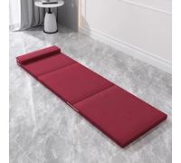 Travel Mattress for Adults Sleeping Mattress,Camping Beds Roll Up Foam Floor Mat Folding Mattress Twin Foldable Portable Cushion 2 Inch Thick Size Bed Spacious Sleep in Camping (180×100cm,10#)