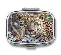 Travel Pill Case Small Pill Box Portable Pills Organizer with 2 Compartments African Animal Leopard Pocket Pills Container Fish Oil Box Cute Medicine Organizer Vitamin Organizers
