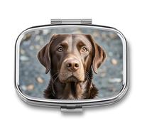 Travel Pill Case Small Pill Box Portable Pills Organizer with 2 Compartments Brown Labrador Retriever Pocket Pills Container Fish Oil Box Cute Medicine Organizer Vitamin Organizers