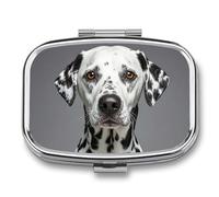 Travel Pill Case Small Pill Box Portable Pills Organizer with 2 Compartments Dalmatian Pocket Pills Container Fish Oil Box Cute Medicine Organizer Vitamin Organizers