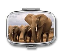 Travel Pill Case Small Pill Box Portable Pills Organizer with 2 Compartments Elephant Family Pocket Pills Container Fish Oil Box Cute Medicine Organizer Vitamin Organizers