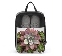 Travel Shoe Bags,Succulent Botanical Printed Shoe Bag,Water Proofing Portable Organizer Storage Shoe Pouch Holds,with Sturdy Zipper Cruise Ship Essentials, Succulent Botanical, One Size, Travel Shoe