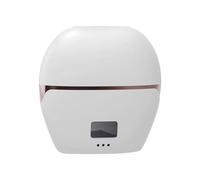 Travel Straightener Mini - Compact Hair Flat Iron for On the Go | Fast Heating Ceramic Plates with Voltage, Anti Frizz Technology, Lightweight Portable Hair Styling Tool 3.54x3.5x1.38 in