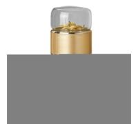 Travel Tea Infuser Bottle | Double-Layer Insulation Tea Infuser Bottle,Loose for Loose Flower Home Traveling