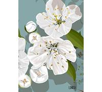 Travelers Notebook Lined Inserts B6 Travelers Notebook 5x7 College Ruled Lined Notebook: B6 Travelers Notebook Inserts Travelers Notebook Accessories ... For Journaling Junk Journal Supplies 64 Page