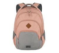 Travelite Backpack Basics, Hand Luggage, Laptop 15.6-inch, 45 cm, Many Compartments, 22 L Pink