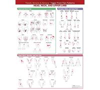 Travell, Simons & Simons’ Trigger Point Pain Patterns Wall Chart: Head, Neck, and Upper Limb