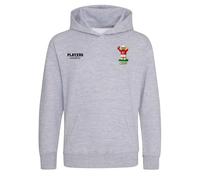 Travis Kelce Toy Logo Kids Hoodie - Gray / 2-3 years