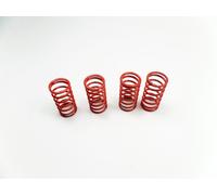 TRAXXAS E-Revo 5439 5440 Shock Spring Gold and Tan TER®