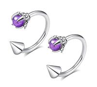 TRBR 16G 2PCs Dragon Claw and Spike Snake Bite Jewelry, Hoop Lip Rings Snake Bites, Horseshoe Labret Jewelry for Lip Piercing, 8mm 10mm 12mm Hoop, 16G-8mm, Stainless Steel, No Gemstone