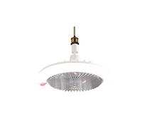 TRDEWR Ceiling Fan Lights 3 Speeds Silent Ceiling Fan with Lighting Lamp E27 Converter Base with Remote Control for Bedroom Home Good Light and Shadow Effects(Grey no Control)