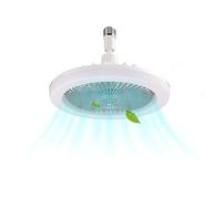 TRDEWR Ceiling Fan with Lighting Lamp E27 Converter Base with Remote Control for Bedroom Living Home Cooling Electric Fan Lamp Good Light and Shadow Effects(Gray-no Control)