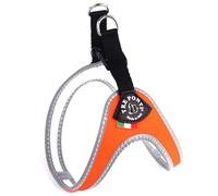 TRE PONTI Easy Fit Fix Neon Dog Harness, Size 3, Orange