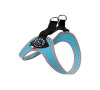 Tre Ponti Fibbia Small Dog Harness, 1 cm, Light Blue